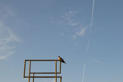 Low angle view of bird perching on metallic structure against blue sky