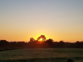 Scenic view of field against clear sky during sunset