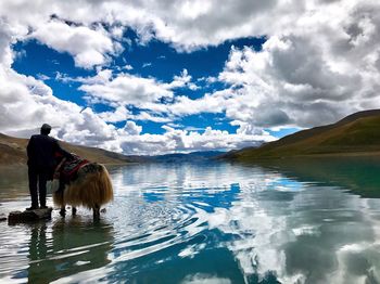 Dog standing in lake against sky