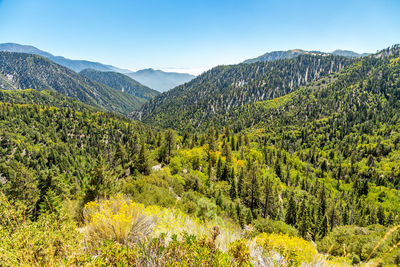 Scenic view of tree mountains against clear sky
