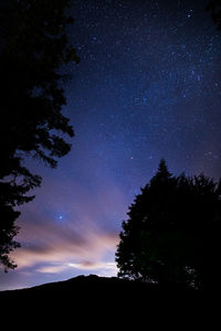 Low angle view of silhouette trees against sky at night
