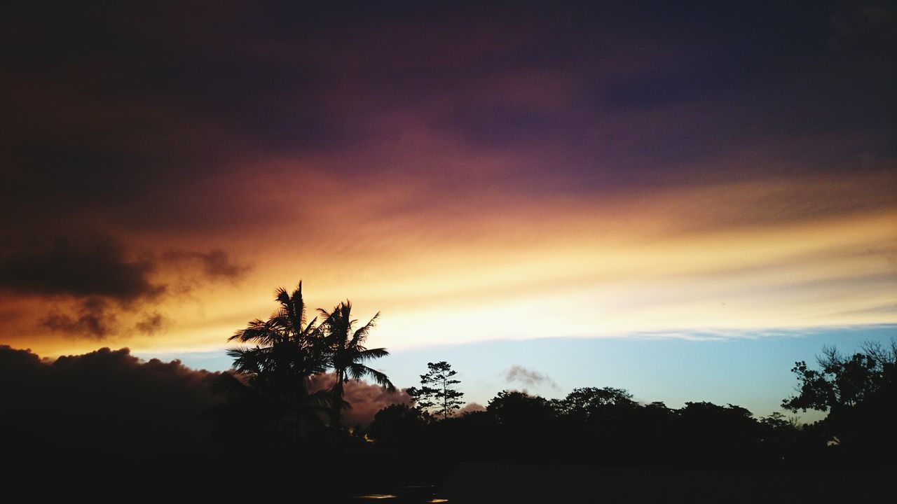 silhouette, sunset, tree, sky, scenics, beauty in nature, tranquil scene, tranquility, cloud - sky, nature, idyllic, dramatic sky, landscape, cloud, orange color, cloudy, dark, dusk, outdoors, no people