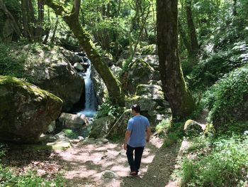 Rear view of man walking on rocks in forest