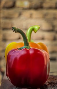Close-up of red bell pepper