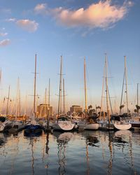 Sailboats moored in harbor