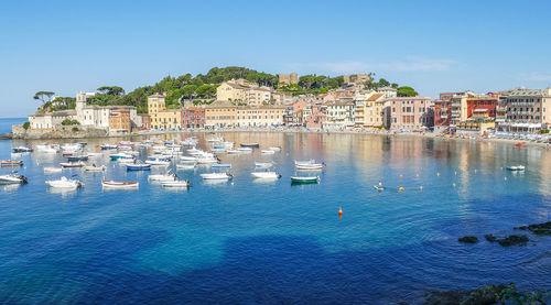 Sailboats in sea by townscape against clear blue sky