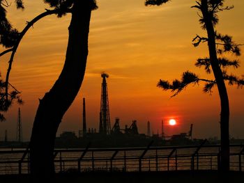 Silhouette of trees during sunset