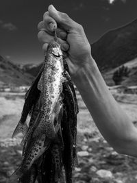 Close-up of hand holding fish