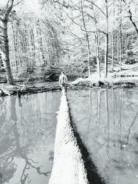 Reflection of bare trees in lake during winter