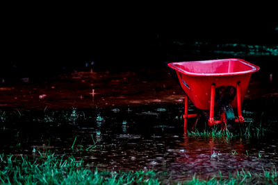 Red rose on wet table at night