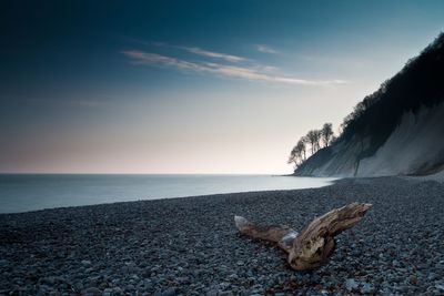 Close-up of crab on beach against sky