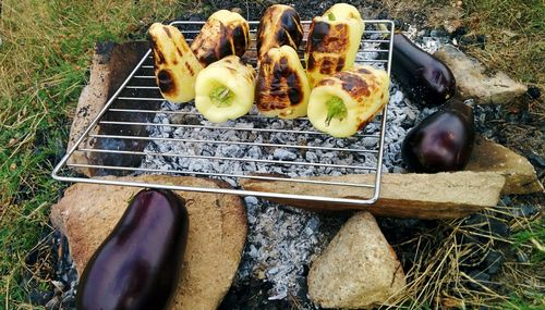High angle view of fruits on barbecue grill