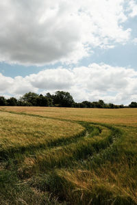 Scenic view of field against sky