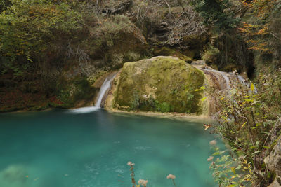 Scenic view of waterfall in forest