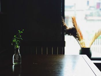 Close-up of potted plant on table