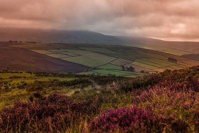 Scenic view of landscape against cloudy sky