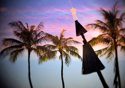 Low angle view of coconut palm trees against sky during sunset