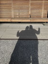 Shadow of people on road