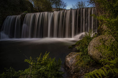 Scenic view of waterfall in forest