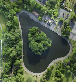 High angle view of a lake in platt fields park, manchester, uk
