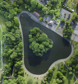 High angle view of food on plants