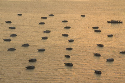 High angle view of sea shore against sky during sunset