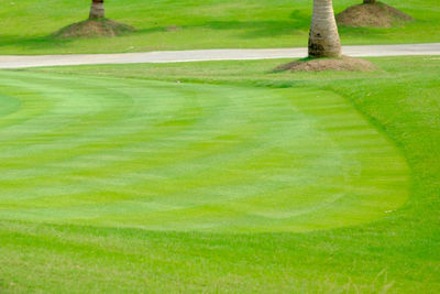 High angle view of golf course