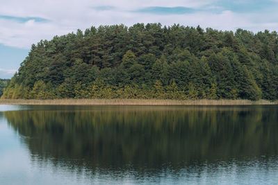 Scenic view of lake by trees against sky