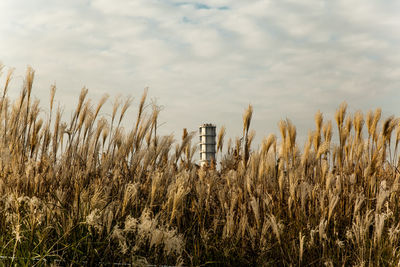 Scenic view of field against cloudy sky