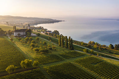 Germany, baden-wurttemberg, uhldingen-muhlhofen, aerial view of birnau church and lakeshore vineyards at sunrise