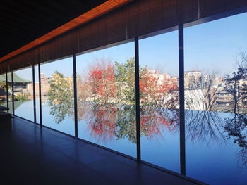 Trees by lake seen through window