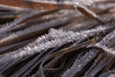 Full frame shot of frozen frost