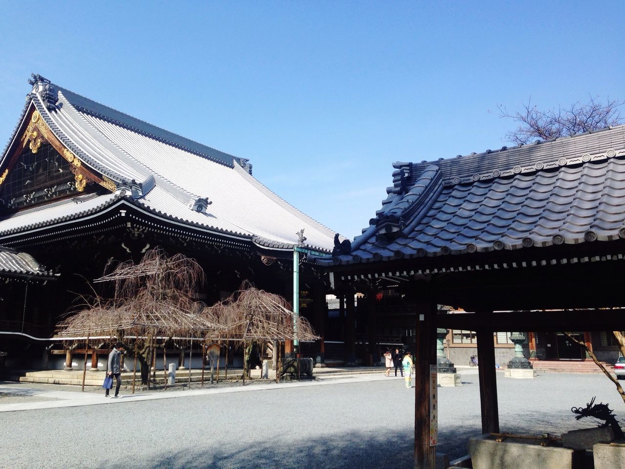 architecture, building exterior, built structure, clear sky, tree, incidental people, sky, blue, travel destinations, place of worship, roof, outdoors, sunlight, religion, low angle view, city, day, travel, street, famous place