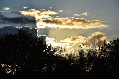 Silhouette trees against sky during sunset