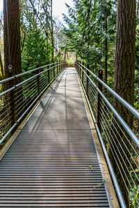 A view of a walking suspension bridge at bellevue botanical garden in washington state.