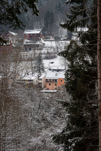 High angle view of houses and trees during winter