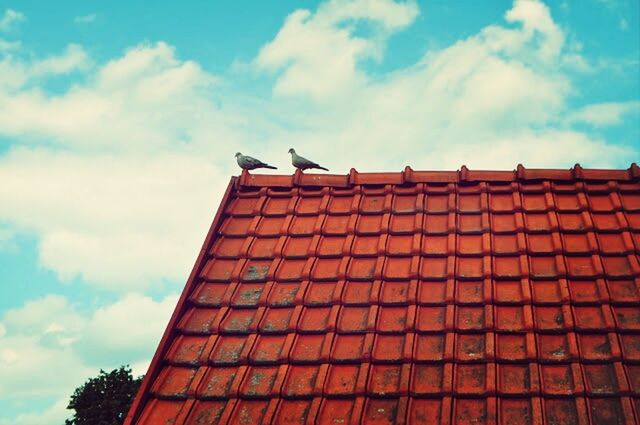 low angle view, architecture, building exterior, built structure, sky, cloud - sky, cloud, high section, building, outdoors, blue, bird, brick wall, no people, roof, cloudy, day, animal themes, house, window