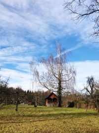 Bare trees on field against sky