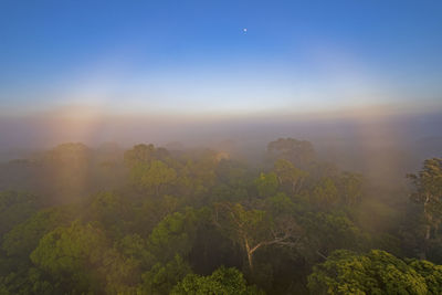 Circular rainbow in the amazon rain forest morning mist near alta floresta, brazil