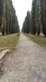 Road amidst trees against sky