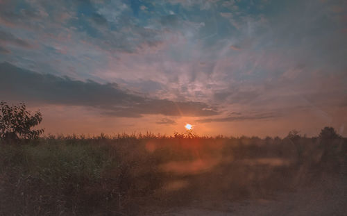 Scenic view of field against sky during sunset