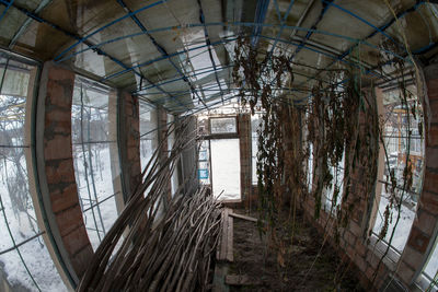 Winter view of the greenhouse with collected things for the winter. the concept of gardening.