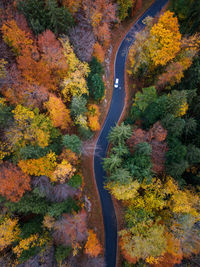 Aerial view of car driving on road through autumnal forest