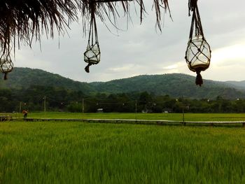 Scenic view of field against sky