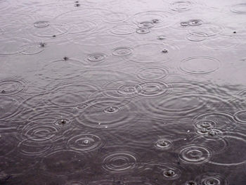 Full frame shot of raindrops on water