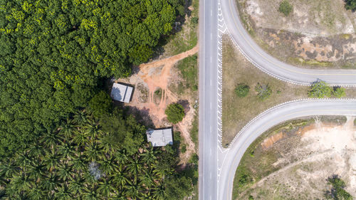 High angle view of road amidst trees