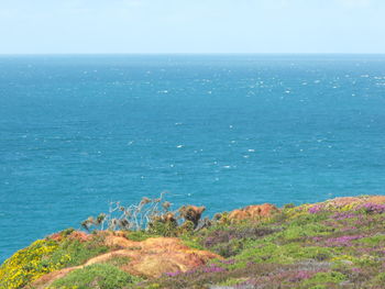 Scenic view of sea against clear sky