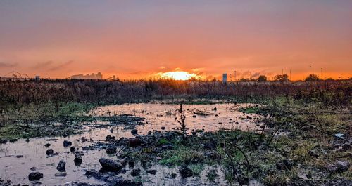 Scenic view of landscape during sunset