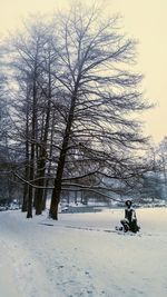 Bare trees on snow covered landscape