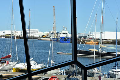 Sailboats moored in harbor